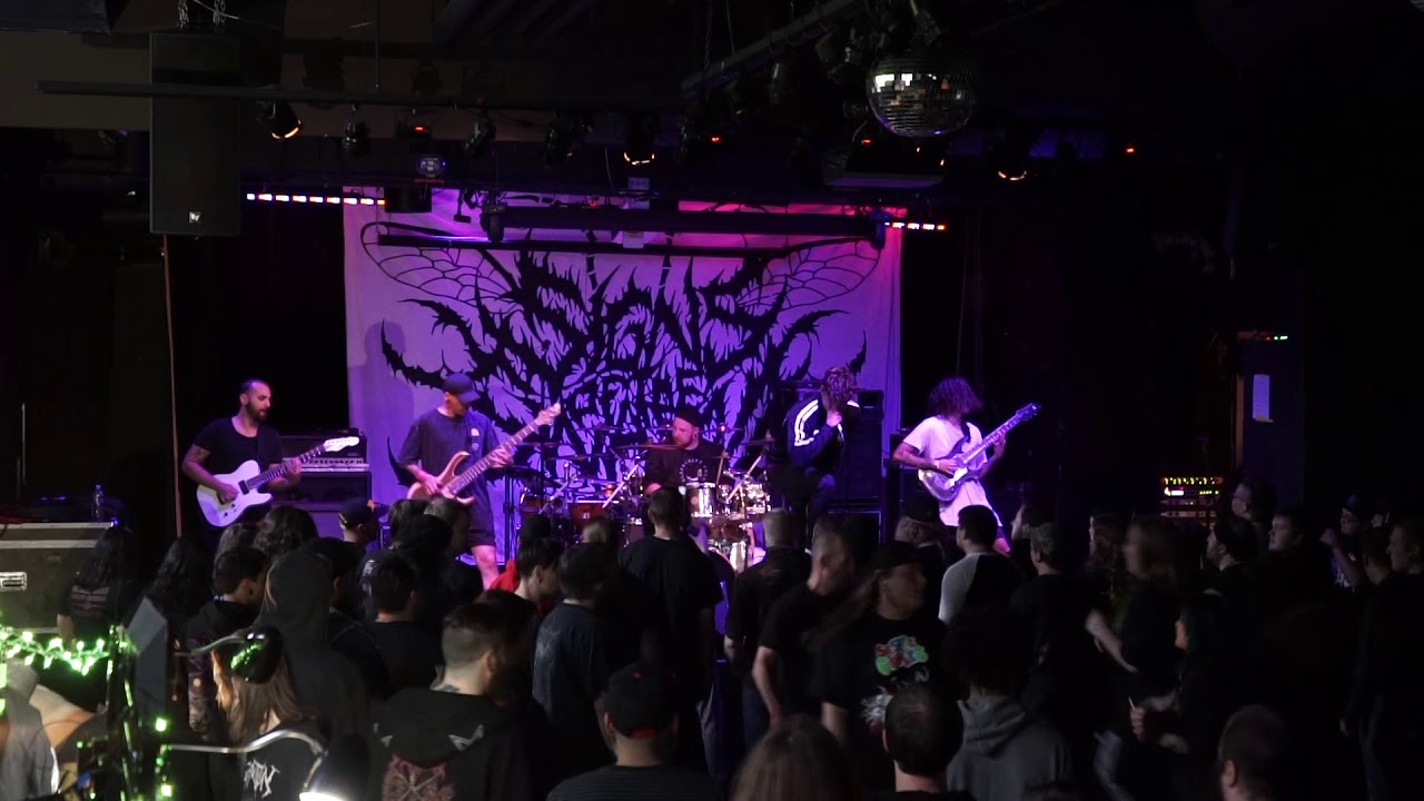 Mental Cruelty - Full Set (Live) - St. Paul, MN @ Amsterdam Bar & Hall