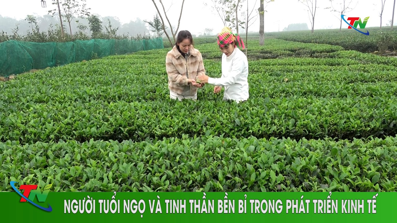 Người tuổi Ngọ và tinh thần bền bỉ trong phát triển kinh tế