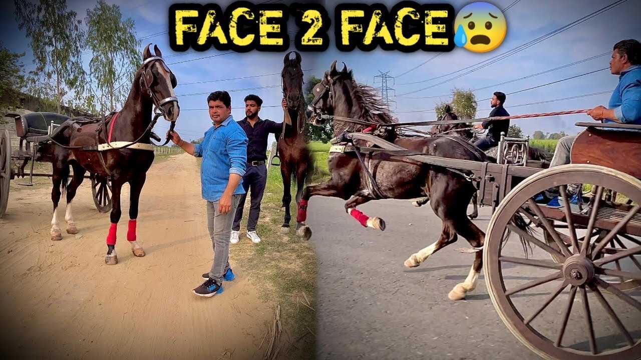 Achanak 😳RAFTAR V/S COMMANDO Race 😰Socha Nahi Tha Itni Tez दौड़ेगा🔥Claps For Raftar 💪SH@Bash Raftar