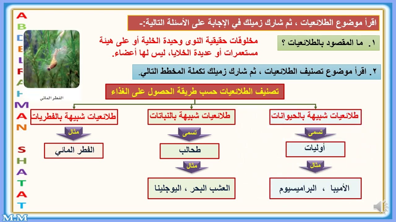 مقدمة في ‏‏الطلائعيات