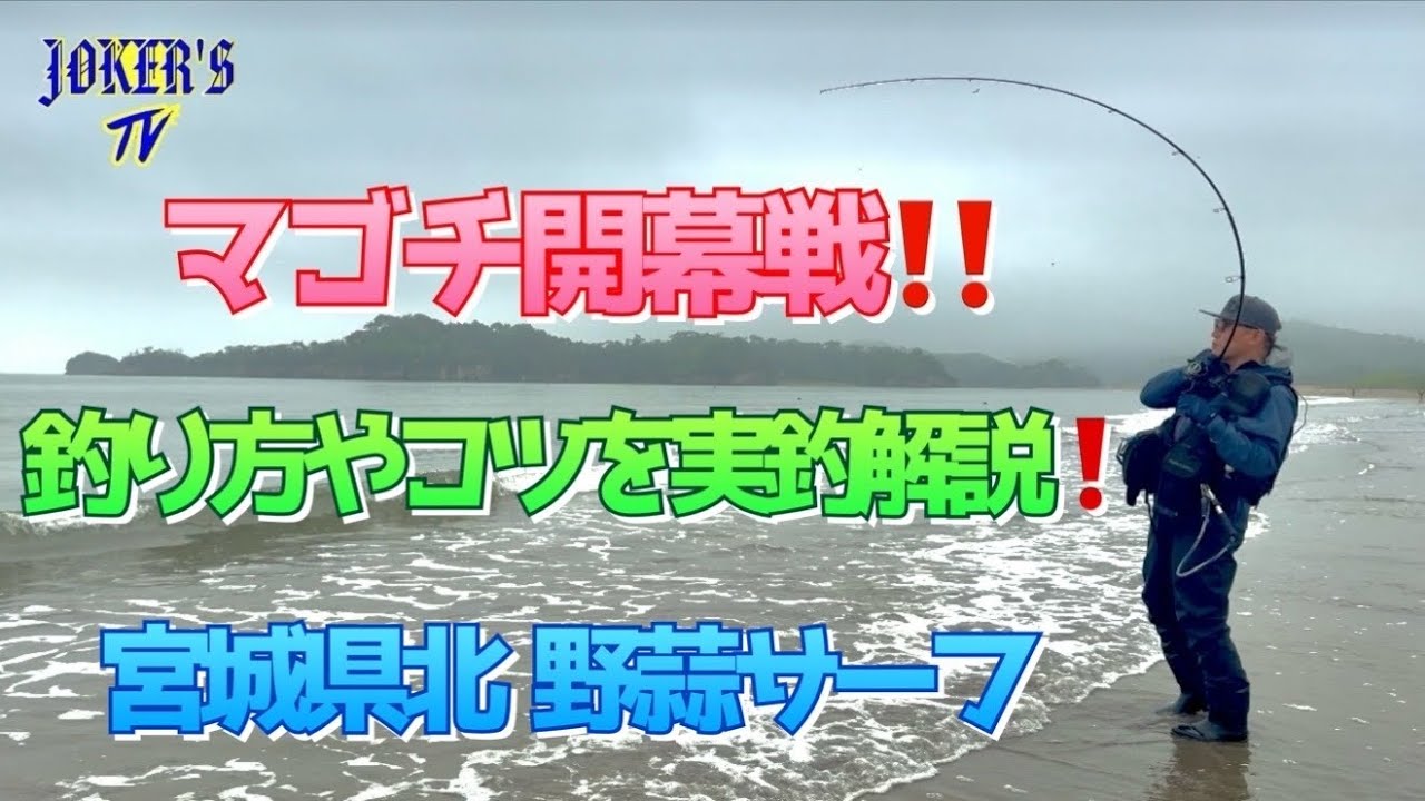 マゴチ開幕戦‼️釣り方やコツを実釣解説❗️宮城県北 野蒜サーフ