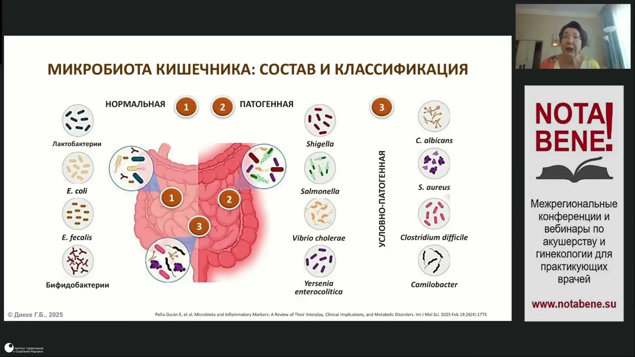 27.08.2025 Микробиом, эстроболом и менопауза и их влияние на риск здоровью женщины