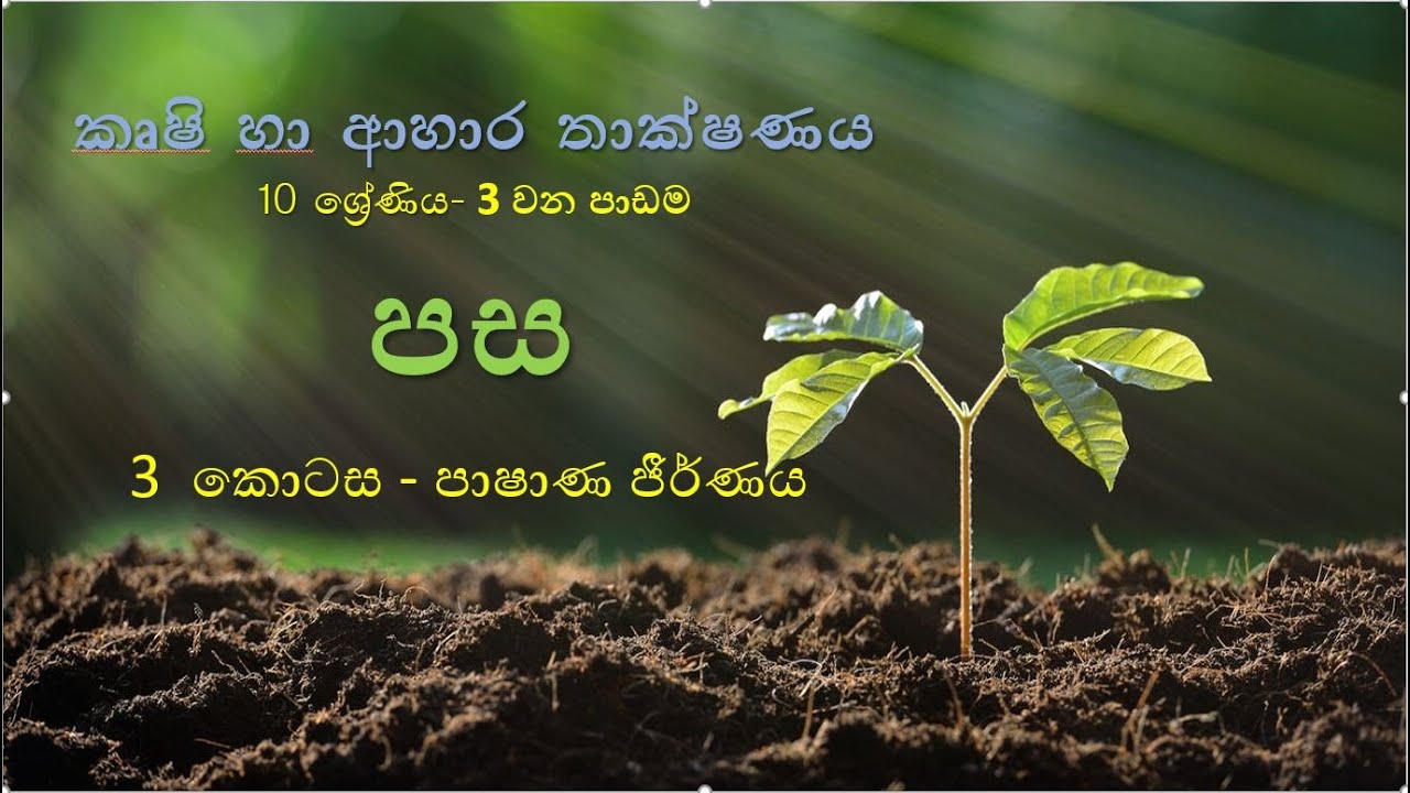 10 ශ්‍රේණිය - කෘෂි හා ආහාර තාක්ෂණය - පස - Part 3 - පාෂාණ ජීර්ණය  | Grade 10 | Agriculture | Soil