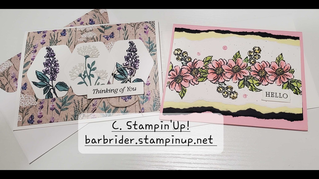 Buzz in with Barb replay 3.8.26 Stampin' Up! Beautiful Gallery