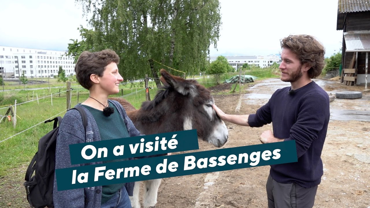 On a visité la Ferme de Bassenges