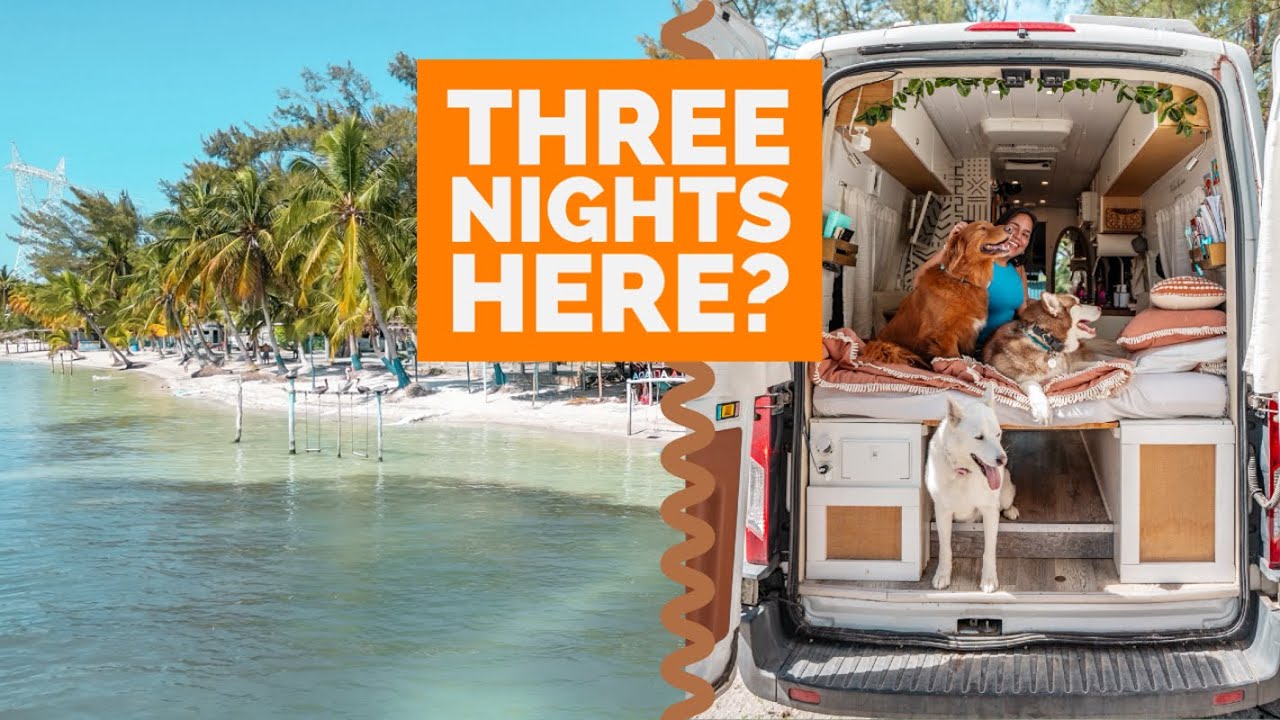 Van Life Pitstop: Camping with Our 3 Dogs in Mexico