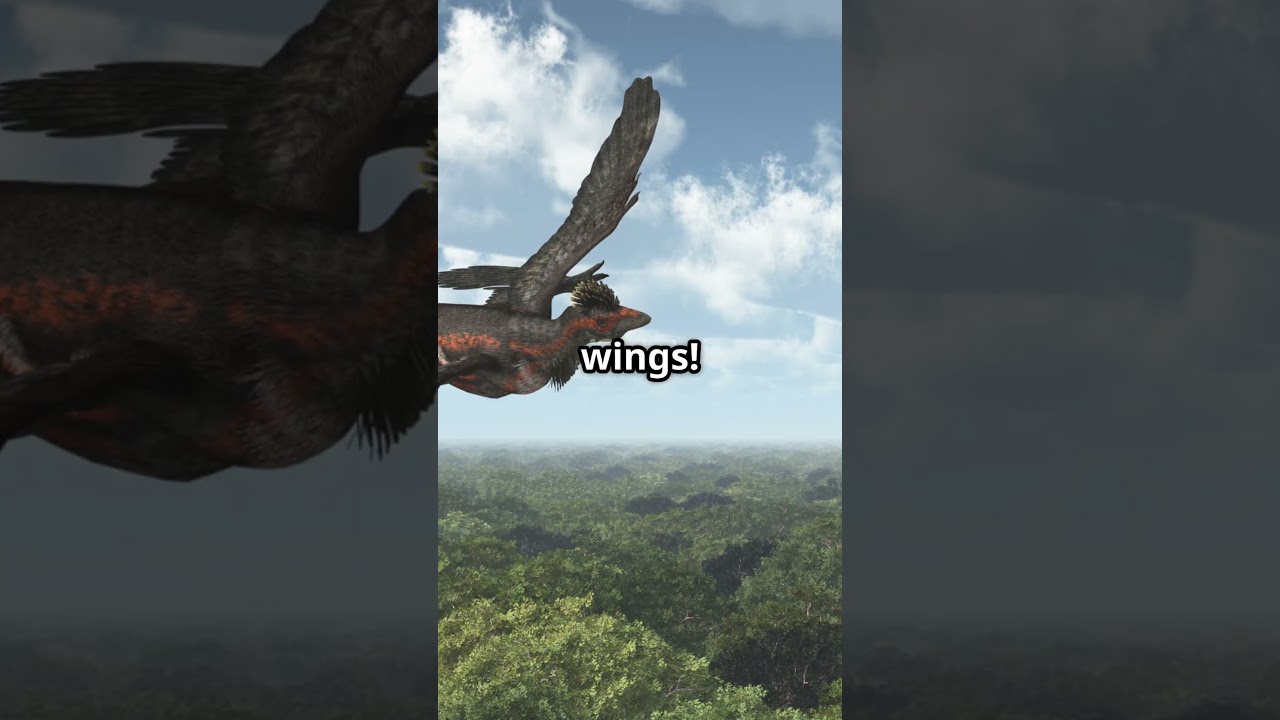 microraptor The four winged wonder #facts