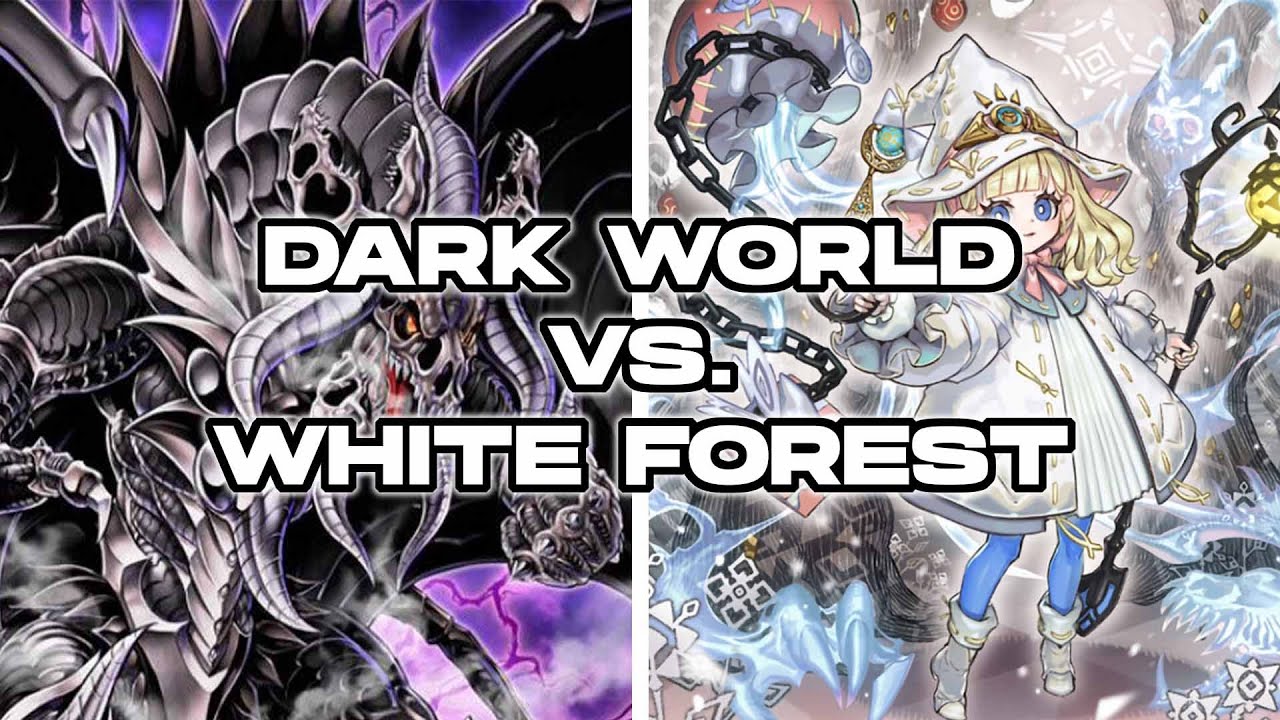 Dark World vs. White Forest - Yugioh 2025