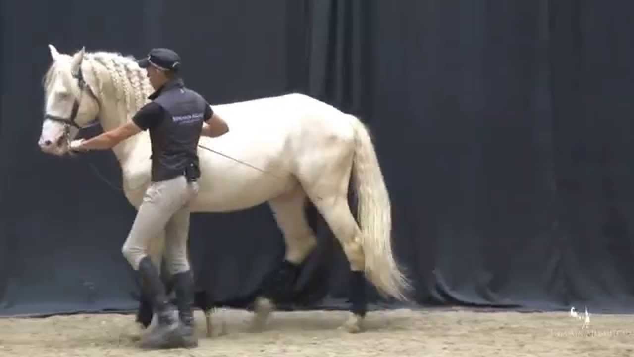 Aborder la mobilisation HD Extrait