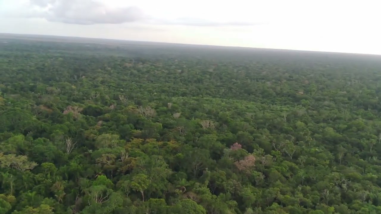 Apenas 2.500 por hectares ja esta liberado pra abrir a fazenda inf. 95 984181260