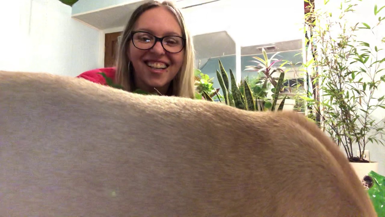 Potting my Philodendron Burle Marx & saying hi!