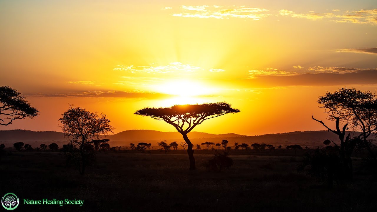 THE BEST Morning Music With Positive Energy To Feel Good 528Hz
