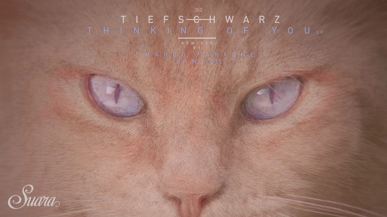 Tiefschwarz - Some Thing (Marco Faraone Remix) [Suara]