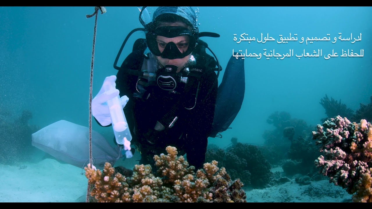 KAUST's Coral Probiotics Village: Arabic Version