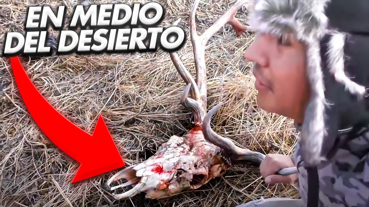 Acampando en reserva animal protegida en Canada, Las 3 partes en 1