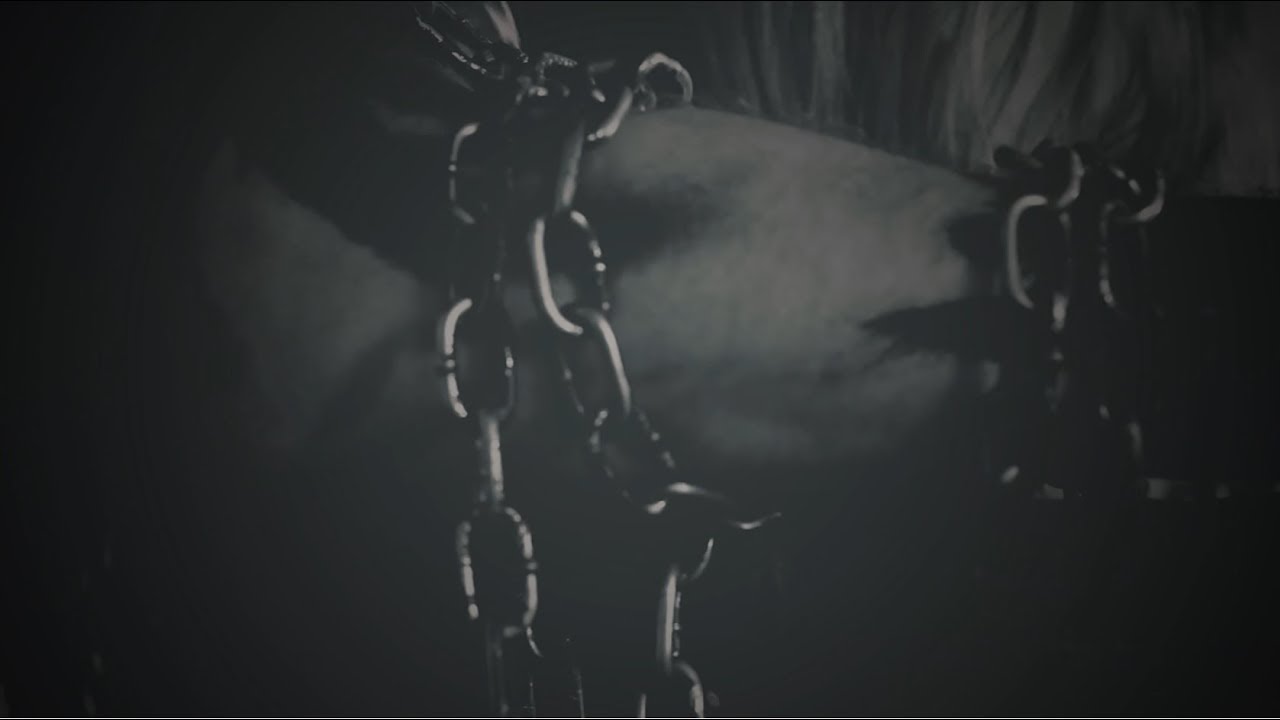 Nonconformity - Culmination of The Wretched (OFFICIAL VIDEO)