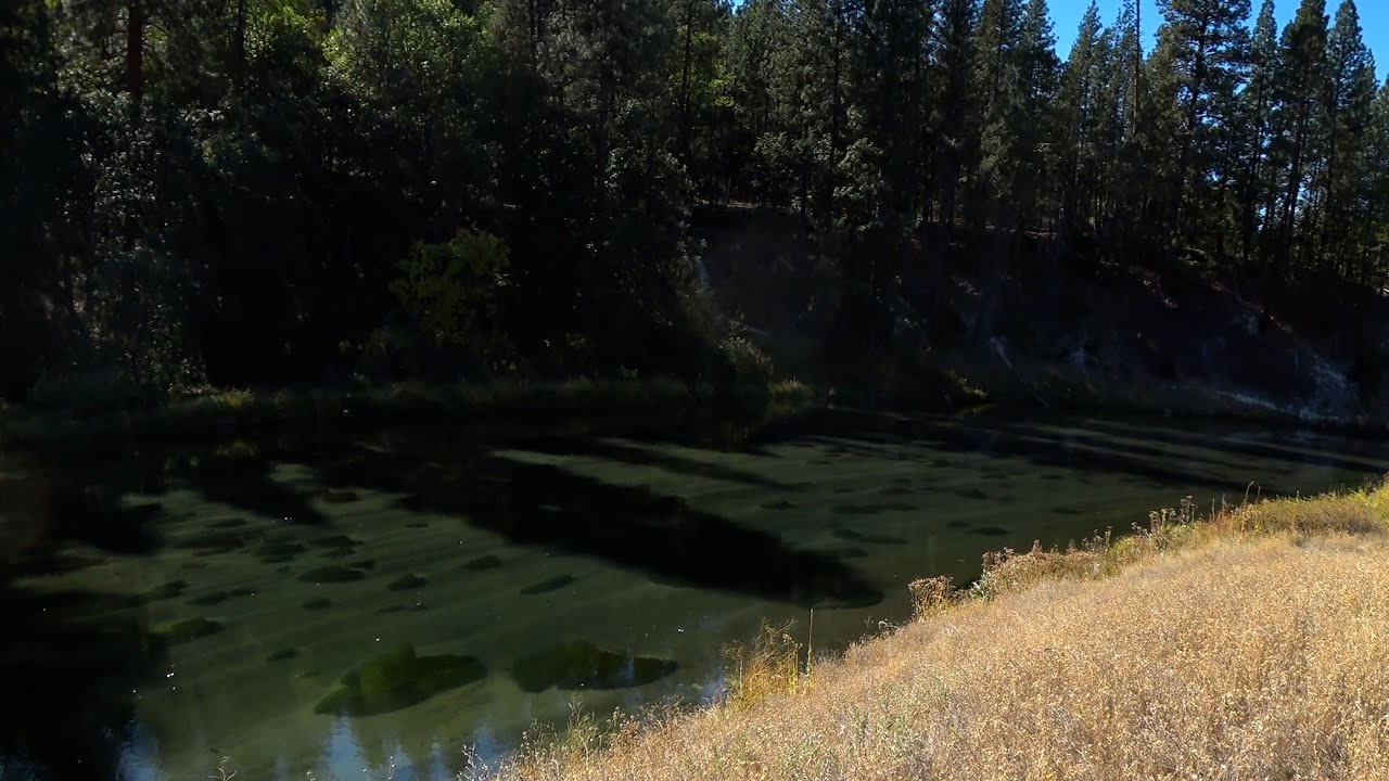 Hat Creek Fishing