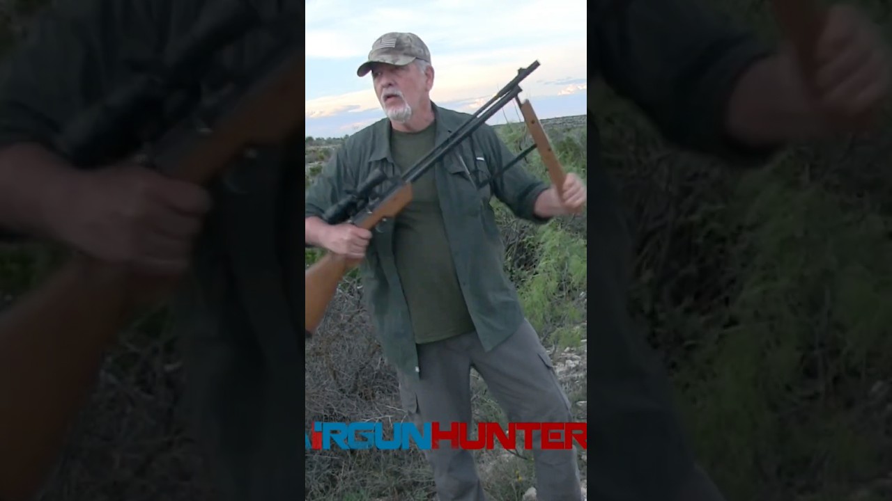DragonFly Multi-pump Air Rifle