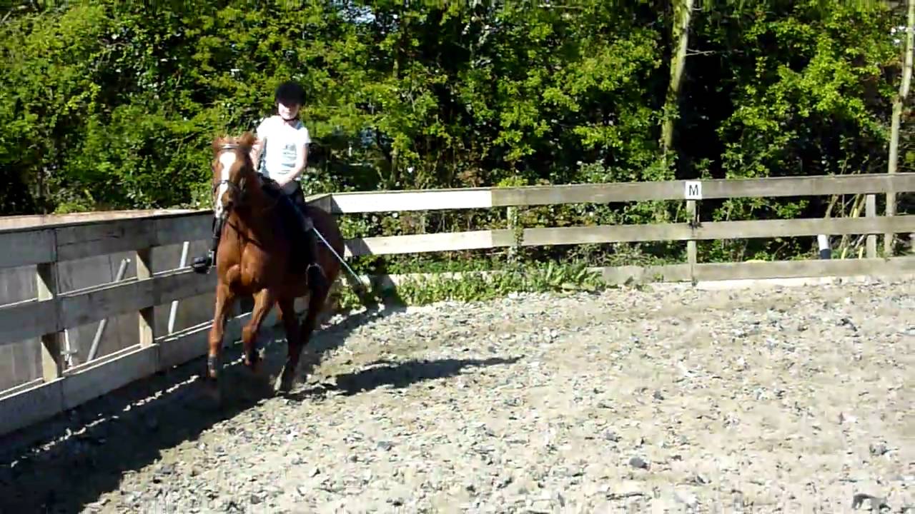 Paardrijles op de Dordrechtse Manege, april 2010