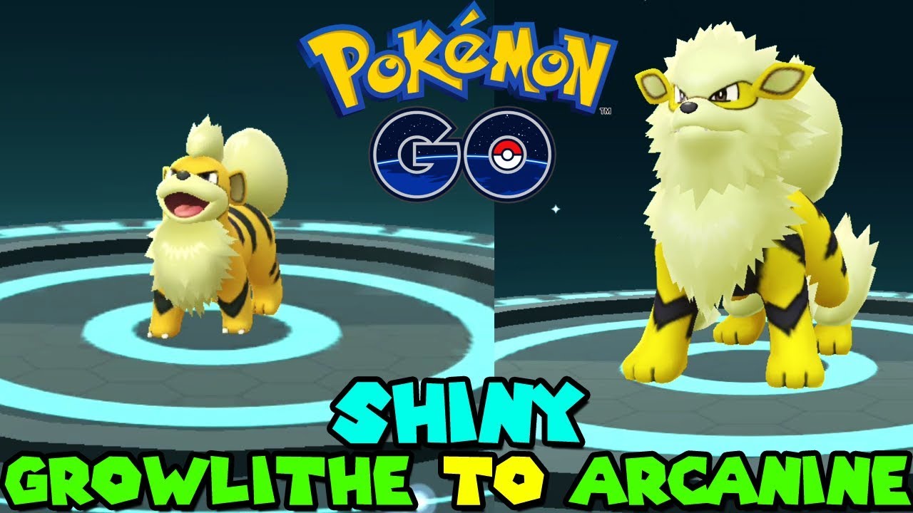 Evolving SHINY GROWLITHE TO SHINY ARCANINE IN POKEMON GO