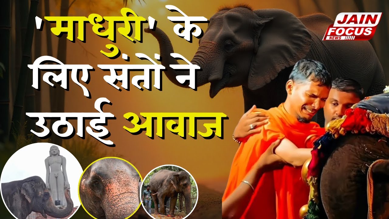 Nandri: 'माधुरी' के लिए संतों ने उठायी आवाज | Madhuri Elephant | Animal Cruelty #bringbackmadhuri