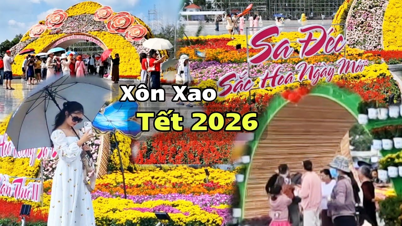 Làng Hoa Sa Đéc Tết 2026 Xôn Xao Chưa Từng Thấy – Khách Chen Chân Ngắm Hoa