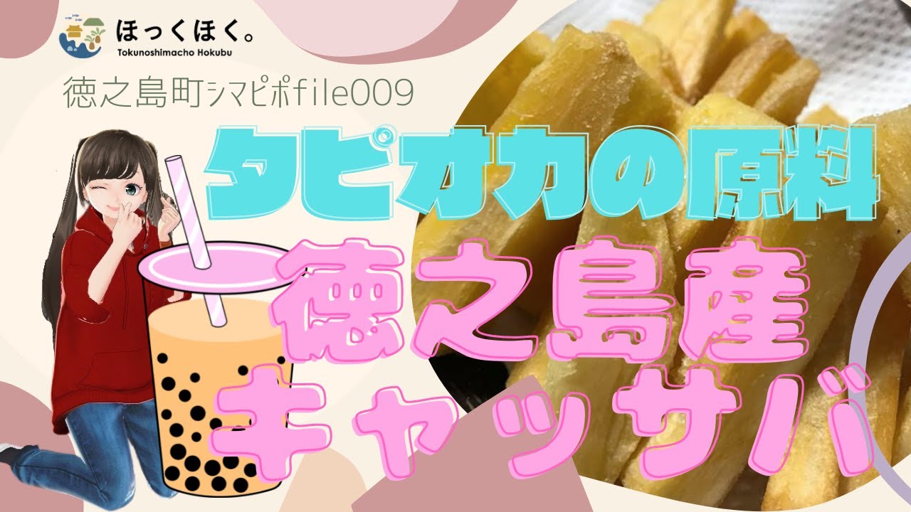 徳之島町北部シマピポファイル009「人気のタピオカの原料が徳之島に！あまみ徳之島絆ファームの国産キャッサバ栽培」Japanese Tokunoshiman Cassava.
