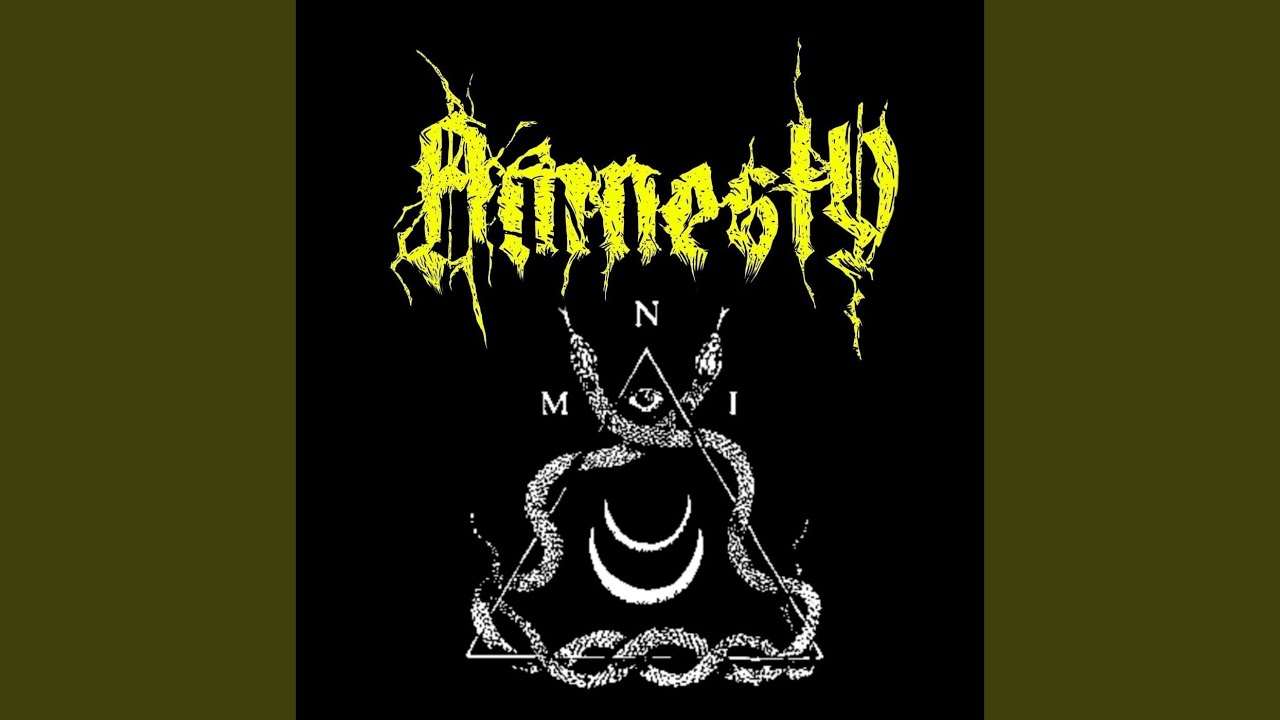 Without Amnesty