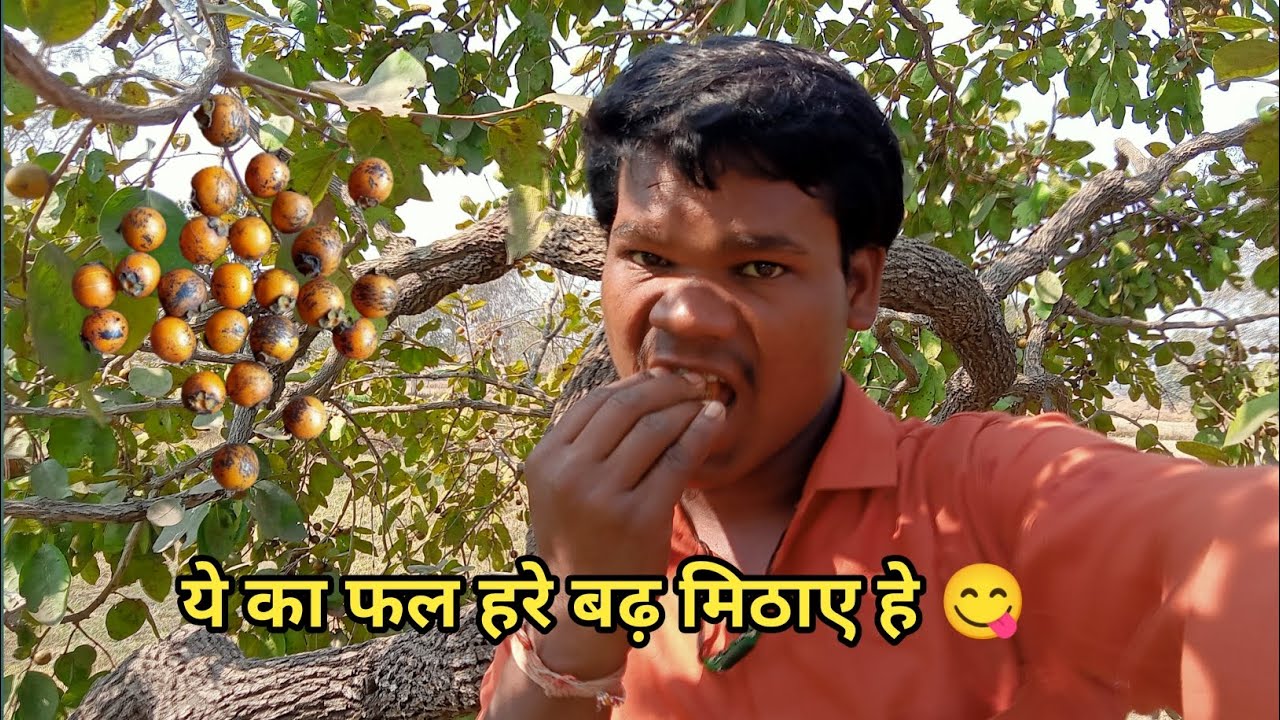 ये का फल हरे बढ़ मिठाए हे 😋