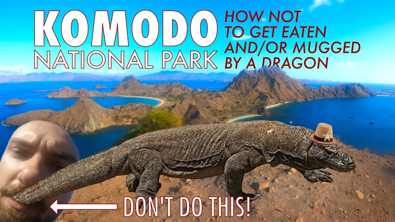 How to go to KOMODO NATIONAL PARK, INDONESIA and not get deaded | christ that's a ruddy dragon vlog