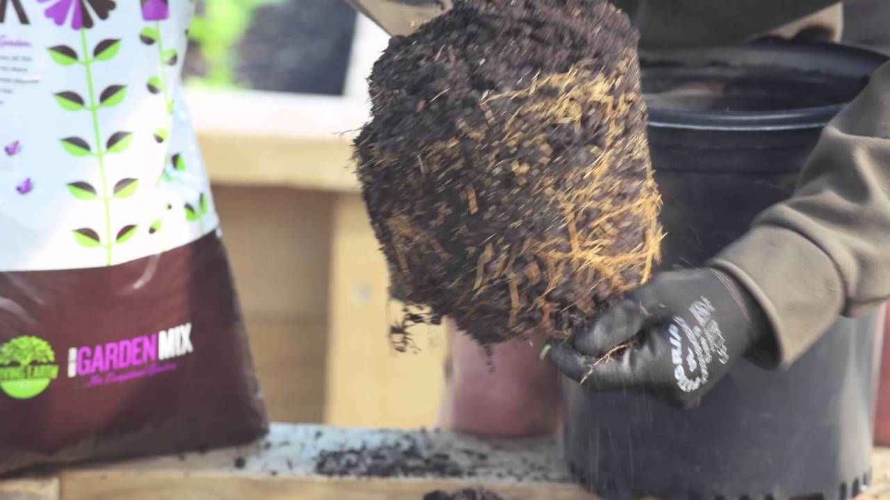 Creating the Perfect Garden with Andy Ellis | Central Landscape Supplies