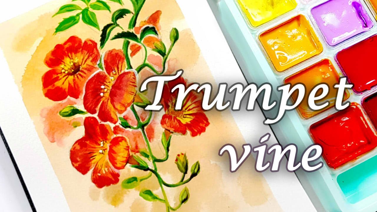 Painting Trumpet Vine/ Let's paint / (SUB) #180