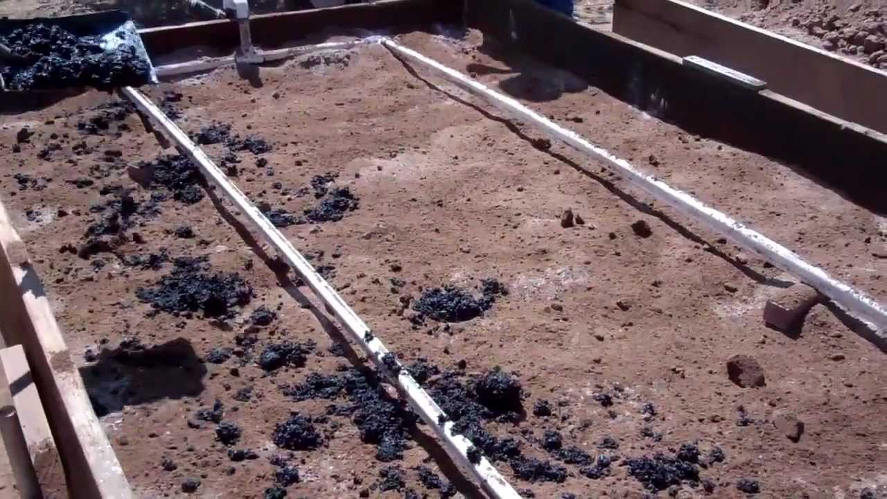 Amending the Soil with Biochar AgroDiamonds and Azomite
