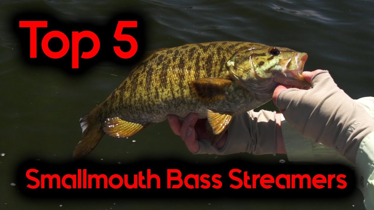 BASS TOP 5 STREAMERS