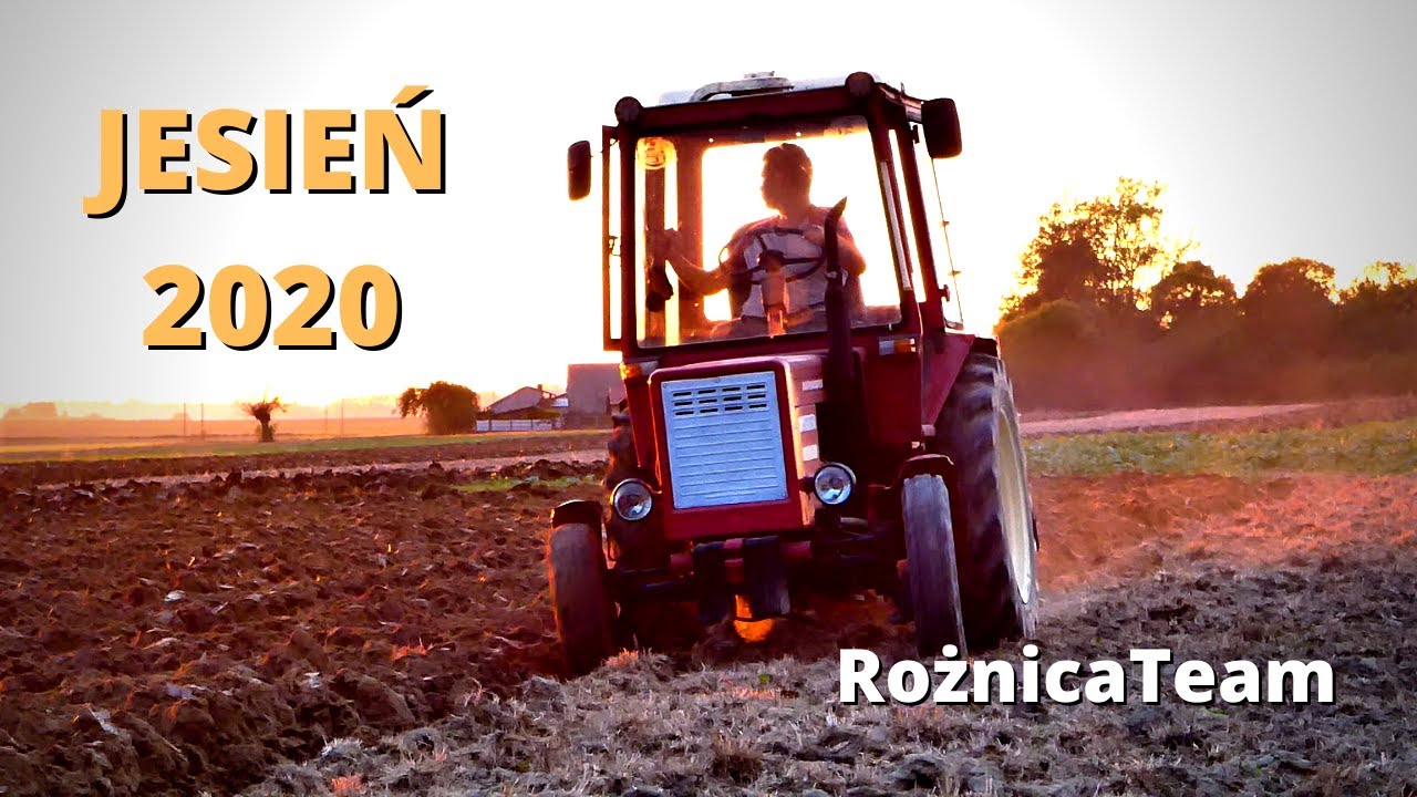 😃 Uprawa i taneczny siew pszenicy 🍁 Jesień 2020 🌱 | RożnicaTeam
