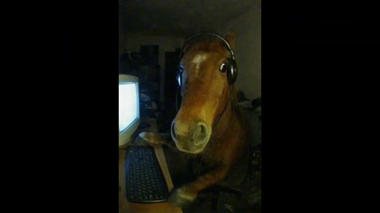 Winnterzuko x Elies G Type shii 🤯