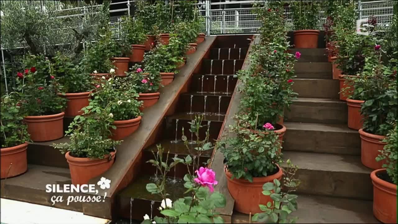 Le jardin d’Orient - Silence, ça pousse !