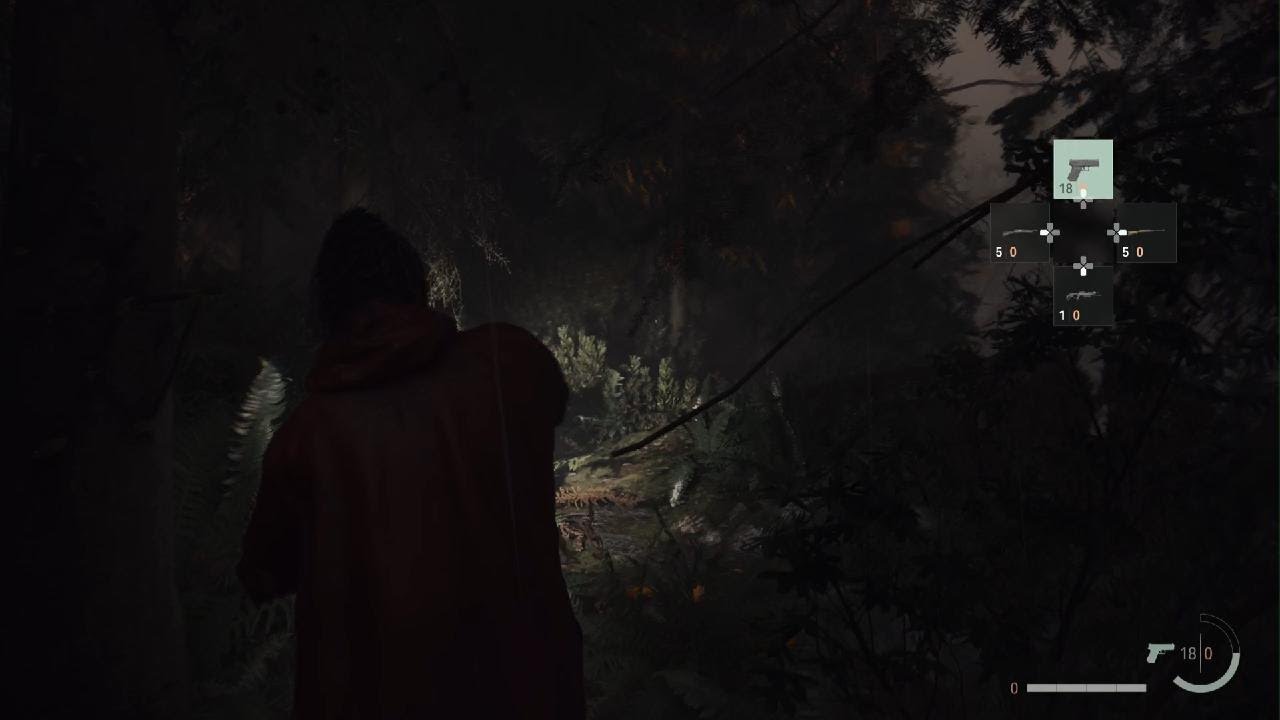 Alan Wake 2_j