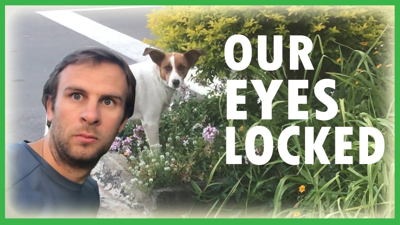 Vlog 1 - The Beginning