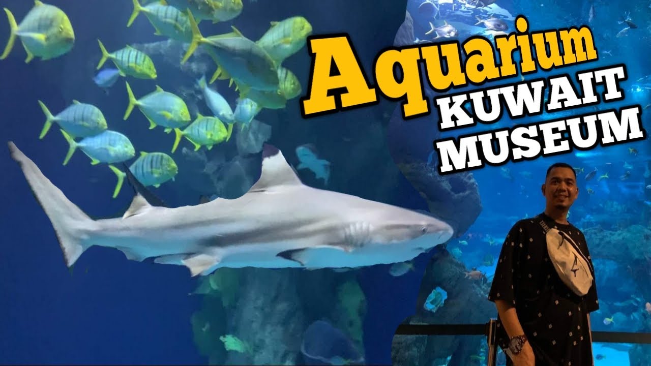 Ep52💈 Rainforest with Aquarium | kuwait museum | Amazing Man made