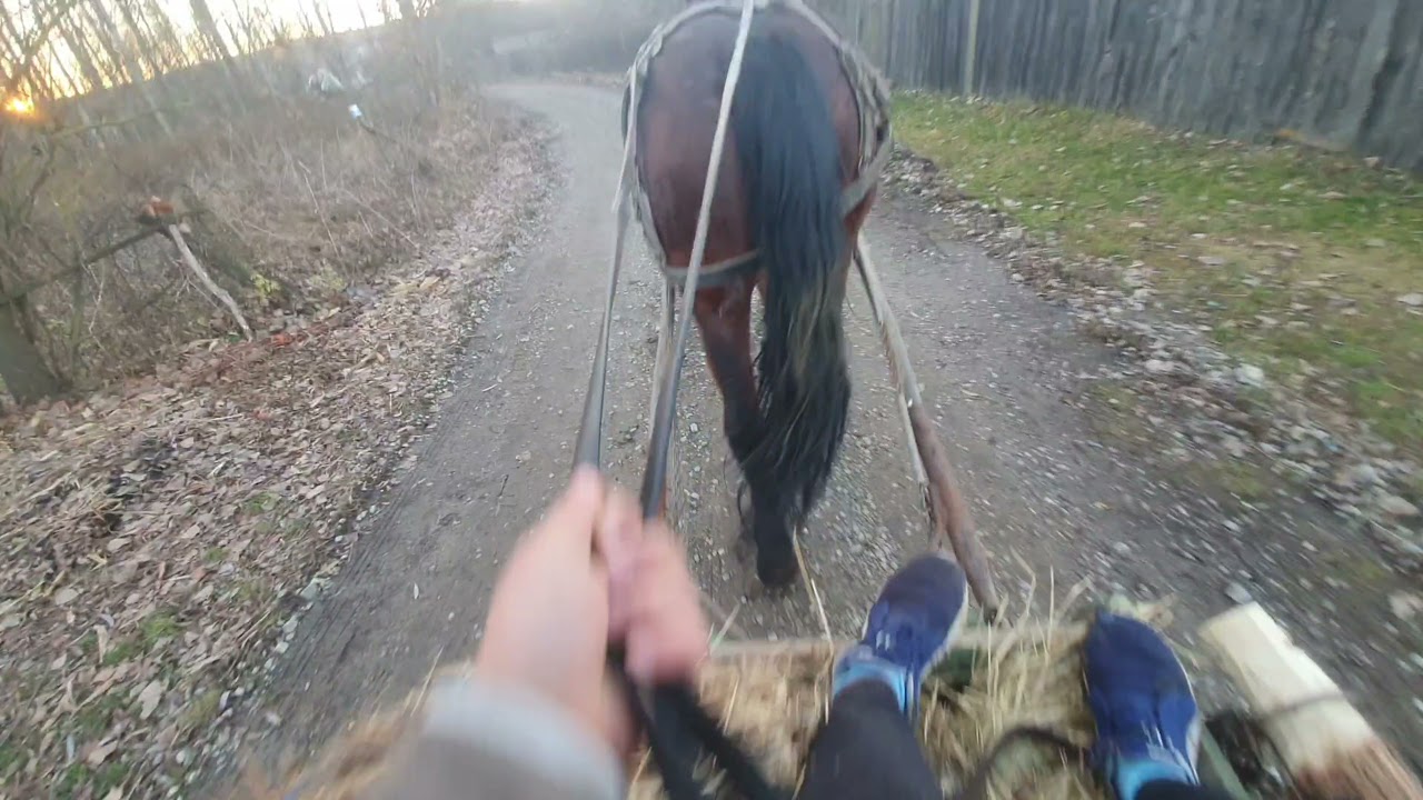 Cu iapa la Baloti ●VIDEO NOU●