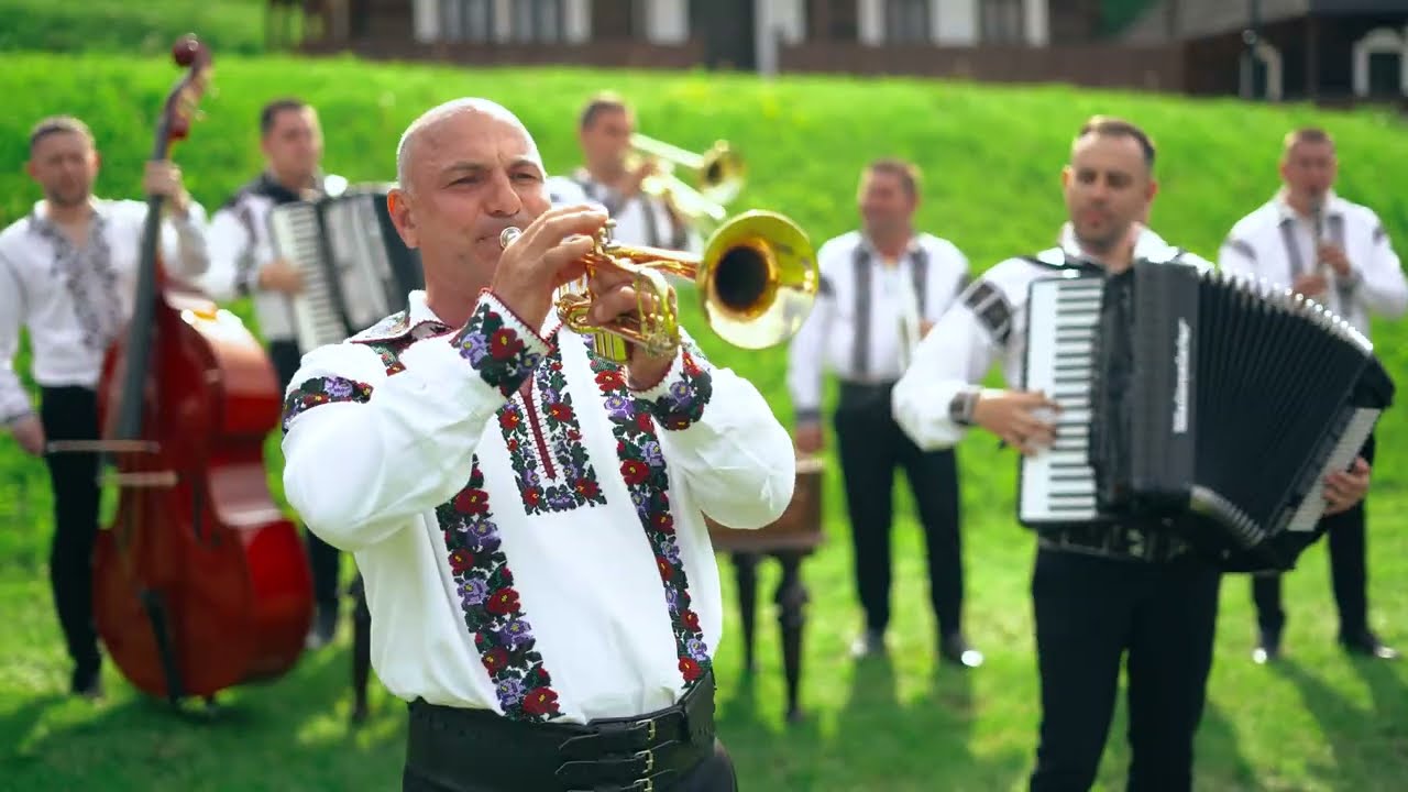 Giovani Jitaru - Piesă de concert (Valeriu Hanganu) - 0742301233