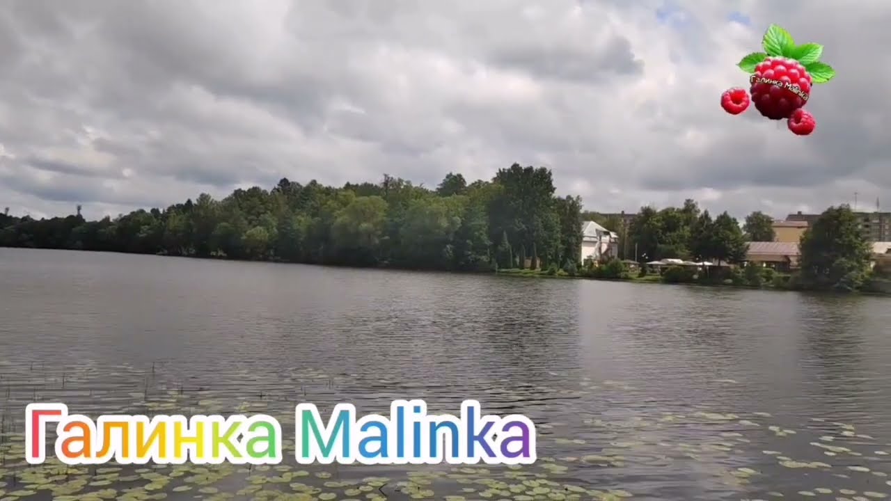 Бровченко /Срочно /Важная информация /Боря уезжает в Донецк /Обзор /Семья Бровченко /Колесниковы 
