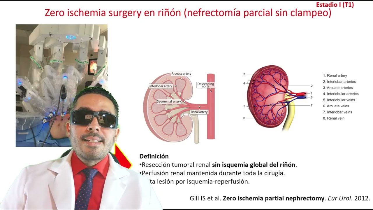 RIÑON 2026 TXQX QUIRURGICO