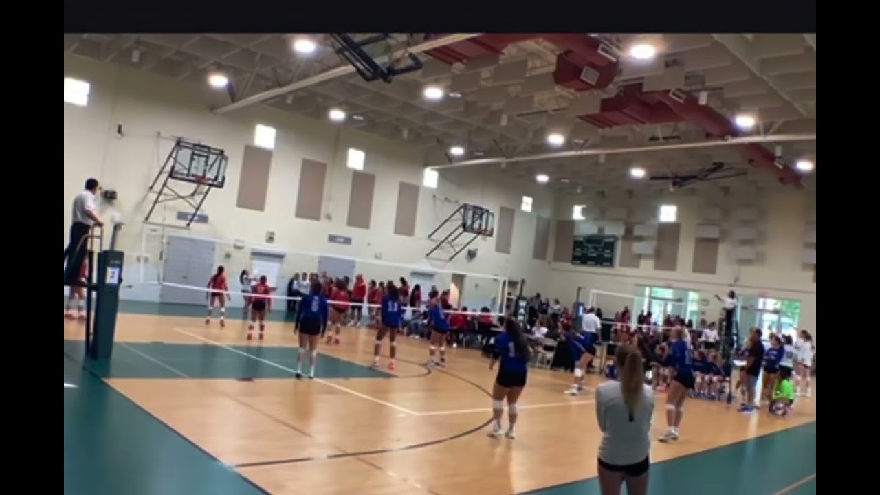 Ella Moss 2025 L/DS 4.0GPA Barron Collier HS