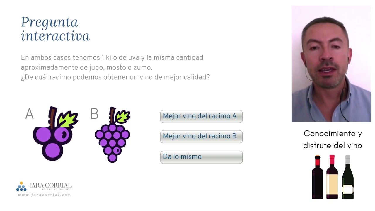 Viticultura Conocimiento y Disfrute del Vino