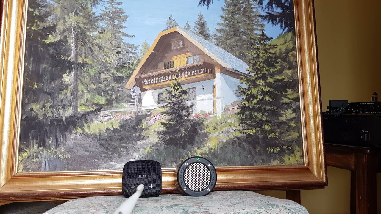 Tribit Stormbox Micro vs Minirig 3