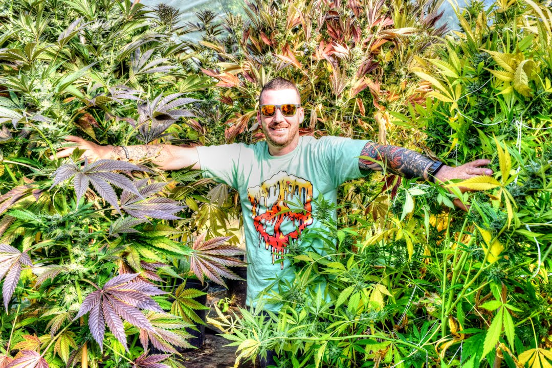 Dabstars Field Trip