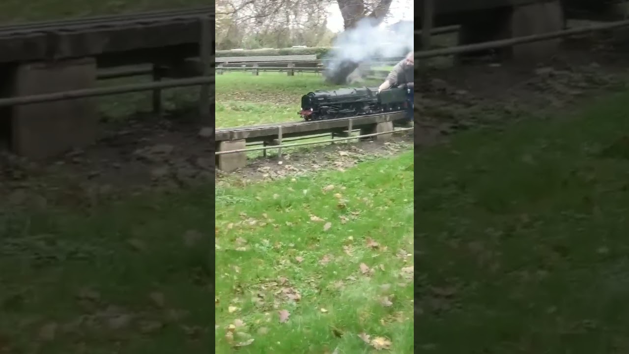 Britannia at Tonbridge model engineering society #railway #steamengine #locomotive  #model #steam