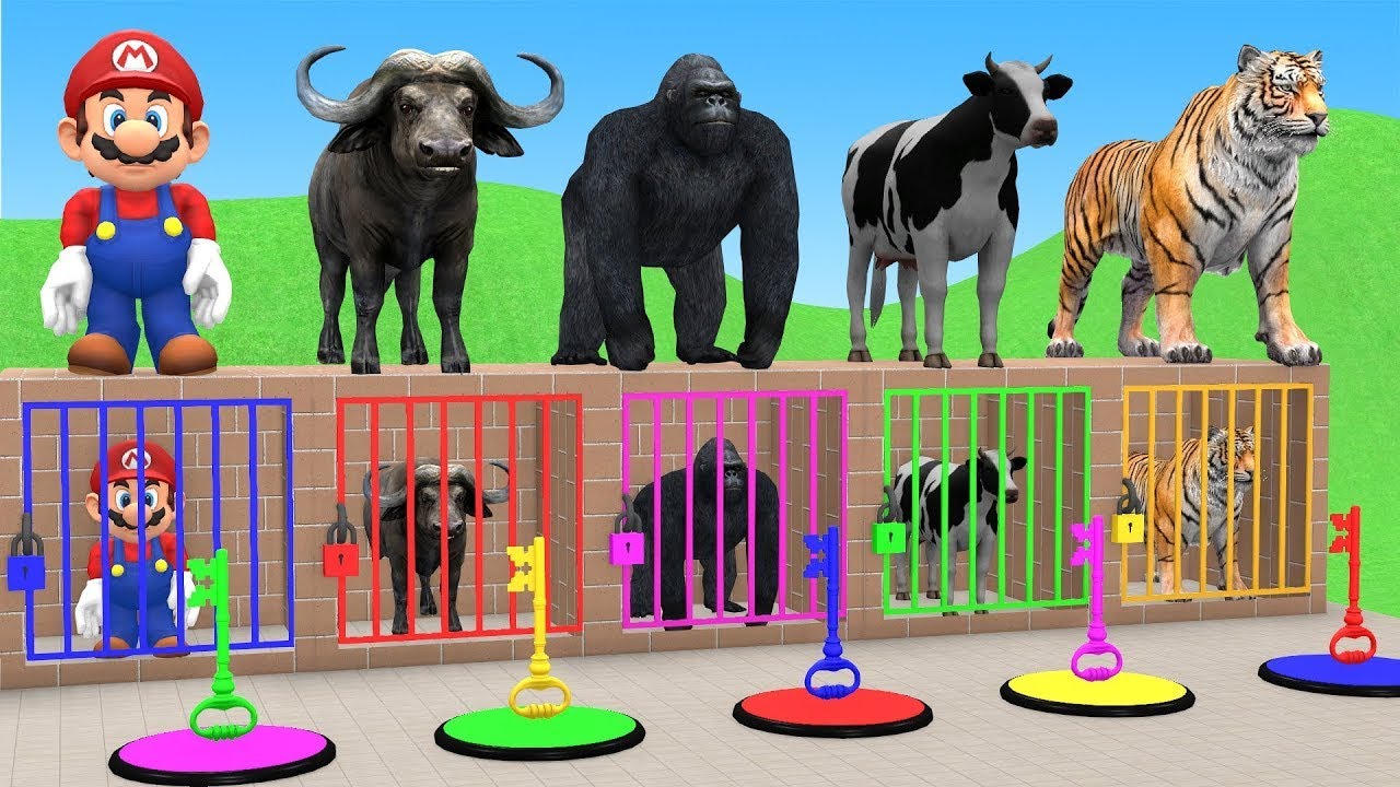 Long Slide Game With Cow Elephant Gorilla Hippopotamus Tiger 3d Animal Game Funny 3d Animals
